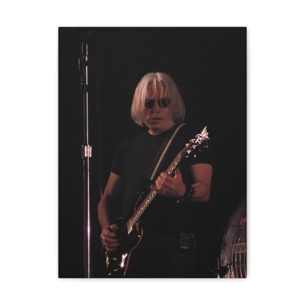 Chris Stein at the Zwarte Cross festival in Netherlands 2011 - Image 2
