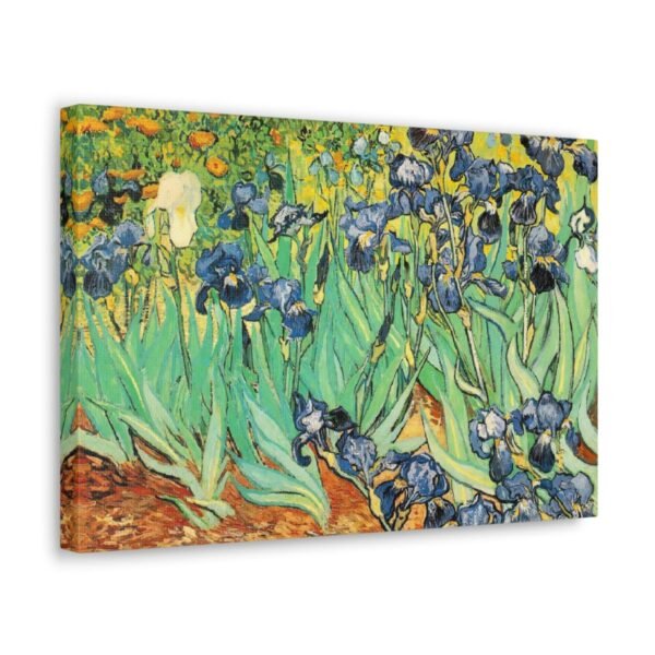 Irises - Vincent van Gogh 1889