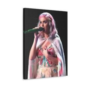 Katy Perry at BB&T Center in Florida 2014