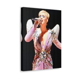 Katy Perry at Madison Square Garden in 2017