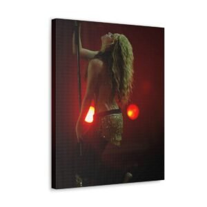 Shakira performing at the Rock in Rio concert in 2008
