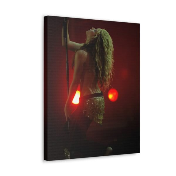 Shakira performing at the Rock in Rio concert in 2008