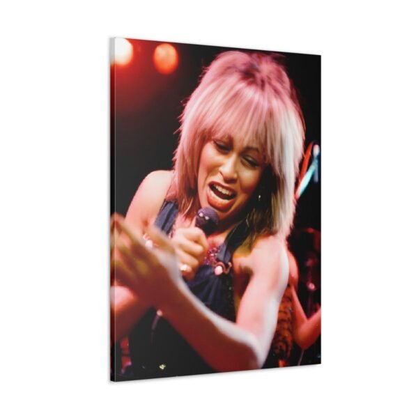 Tina Turner at St David's Hall in 1984